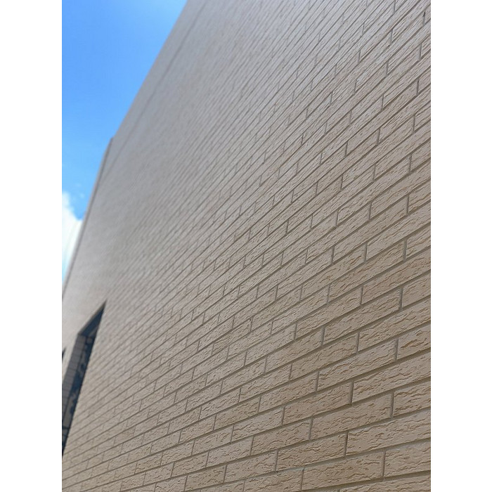 Лицевой керамический кирпич пустотелый, Белый ROCK ригель, рельефная, 0.75 NF, Красная гвардия фото 7