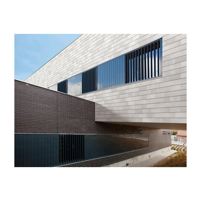 Клинкерная дранка Rustikotta, 200х400 мм, Light grey flamed, Tempio фото 4