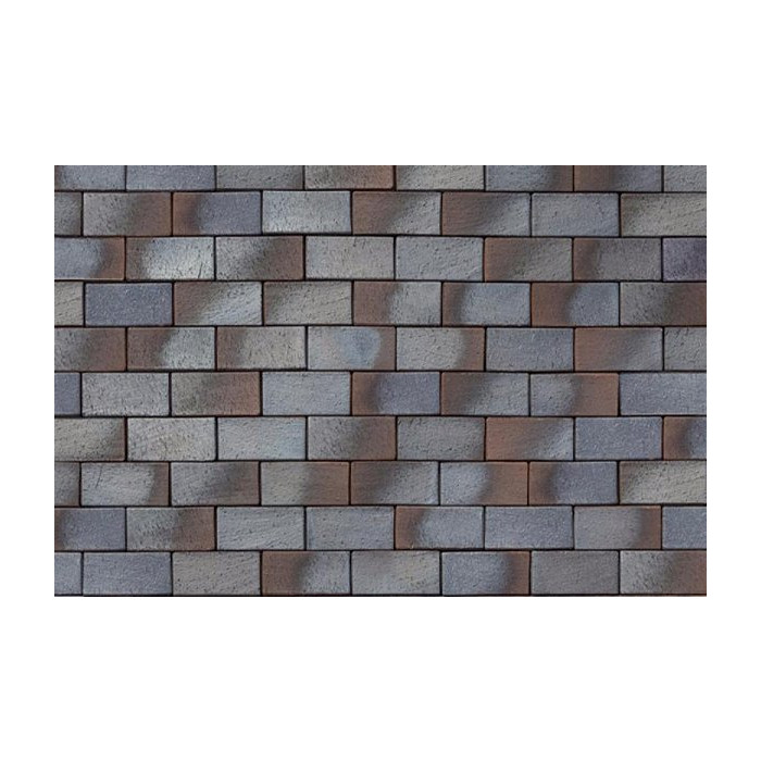 Тротуарная клинкерная брусчатка, Lubek 200х100х45 мм, ABC Klinkergruppe Brick