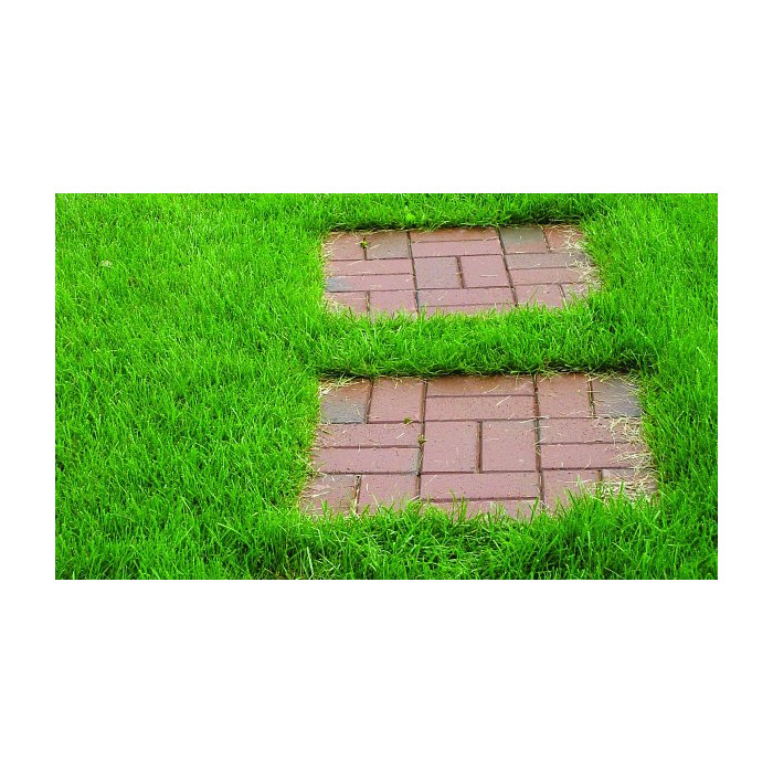 Тротуарная клинкерная брусчатка, Kiel-Heidebunt 200х100х45 мм, ABC Klinkergruppe Brick фото 2